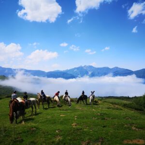 stage d'équitation ados