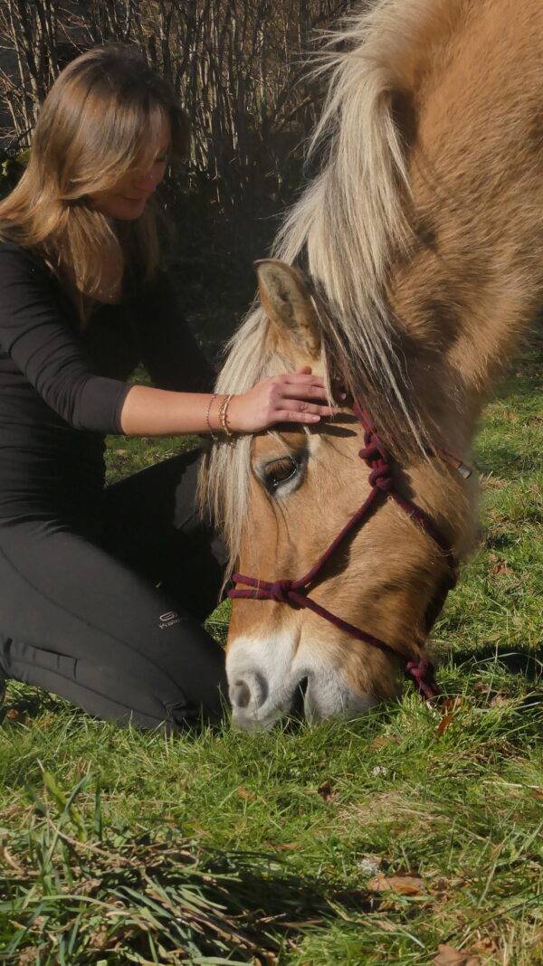 séjour connexion avec les chevaux - gandalha