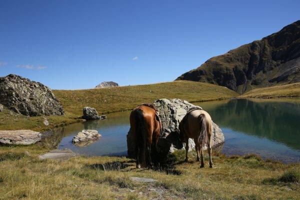 lac des Pyrénées rando cheval