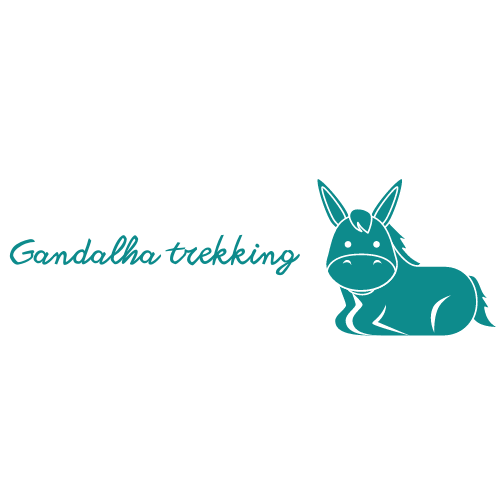 logo trekking-2