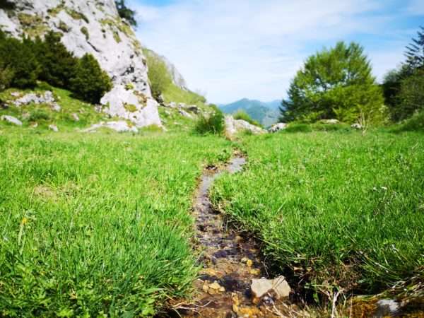 ambiance nature et randonnée à cheval en Baronnies Pyrénées - gandalha