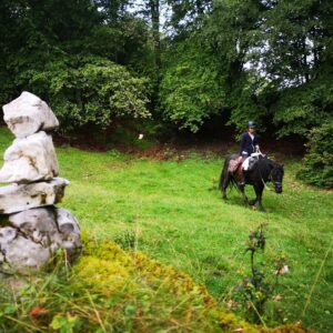 week end équestre débutant - gandalha