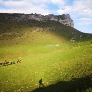 randonnée à cheval dans les baronnies