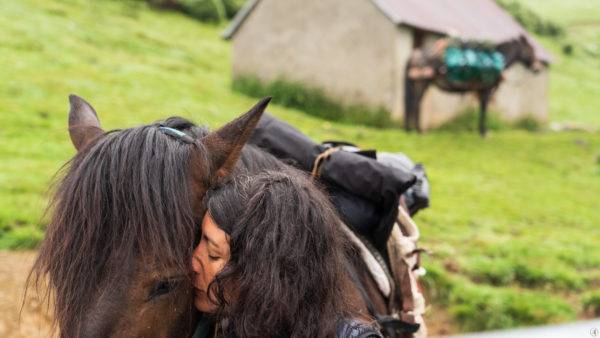 complicité avec les chevaux en randonnée à cheval- Gandalha voyage