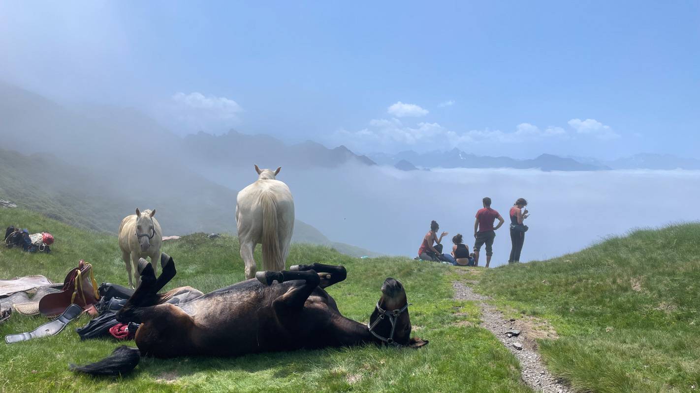 séjours équestres dans les Pyrénées- gandalha voyage