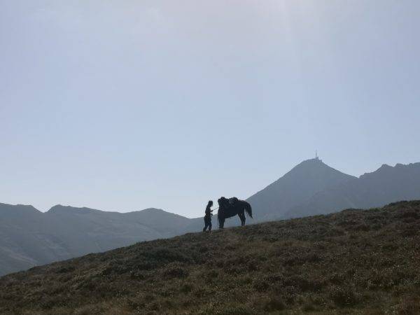 randonnée à cheval dans les hautes Pyrénées