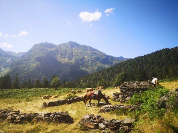 randonnée à cheval hautes Pyrénées - gandalha voyage