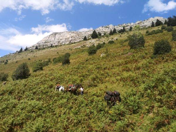 randonnée à cheval Pyrénées - gandalha voyage
