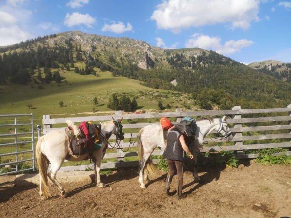 randonnée à cheval dans les Pyrénées - gandalha voyage