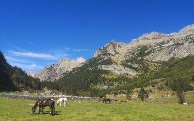 Traverser les Pyrénées à cheval