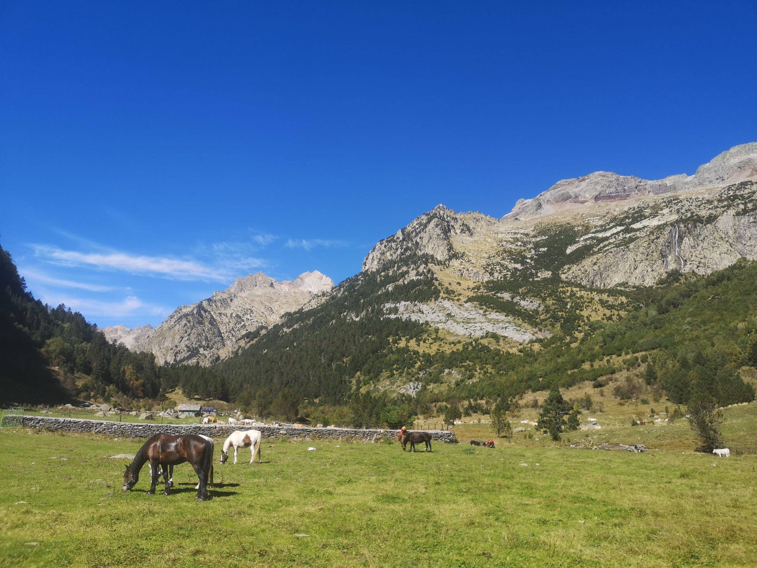 traverser des Pyrénées sur le GR11, val d'estos avec gandalha
