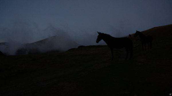 bivouac à cheval dans les Pyrénées - gandalha voyage