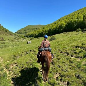 baronnies à cheval