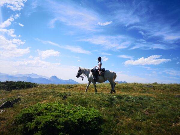 rando à cheval en montagne, val d'azun , Pyrénées - gandalha