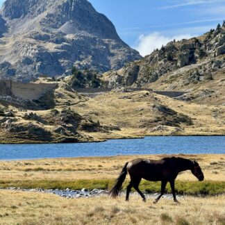 traversée des pyrénées - espagne - gandalha voyage