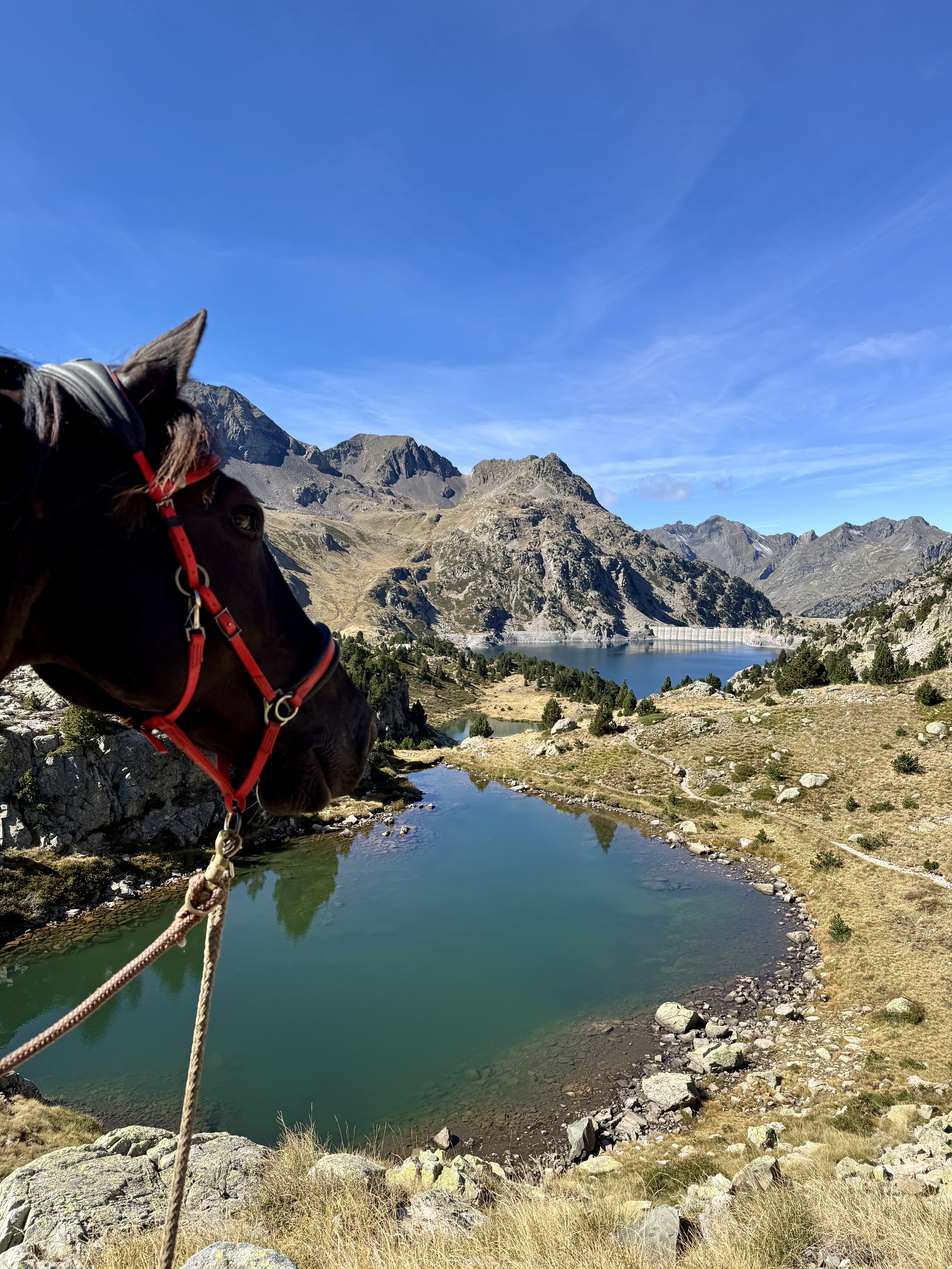 hautes montagnes des Pyrénées à cheval - gandalha voyages