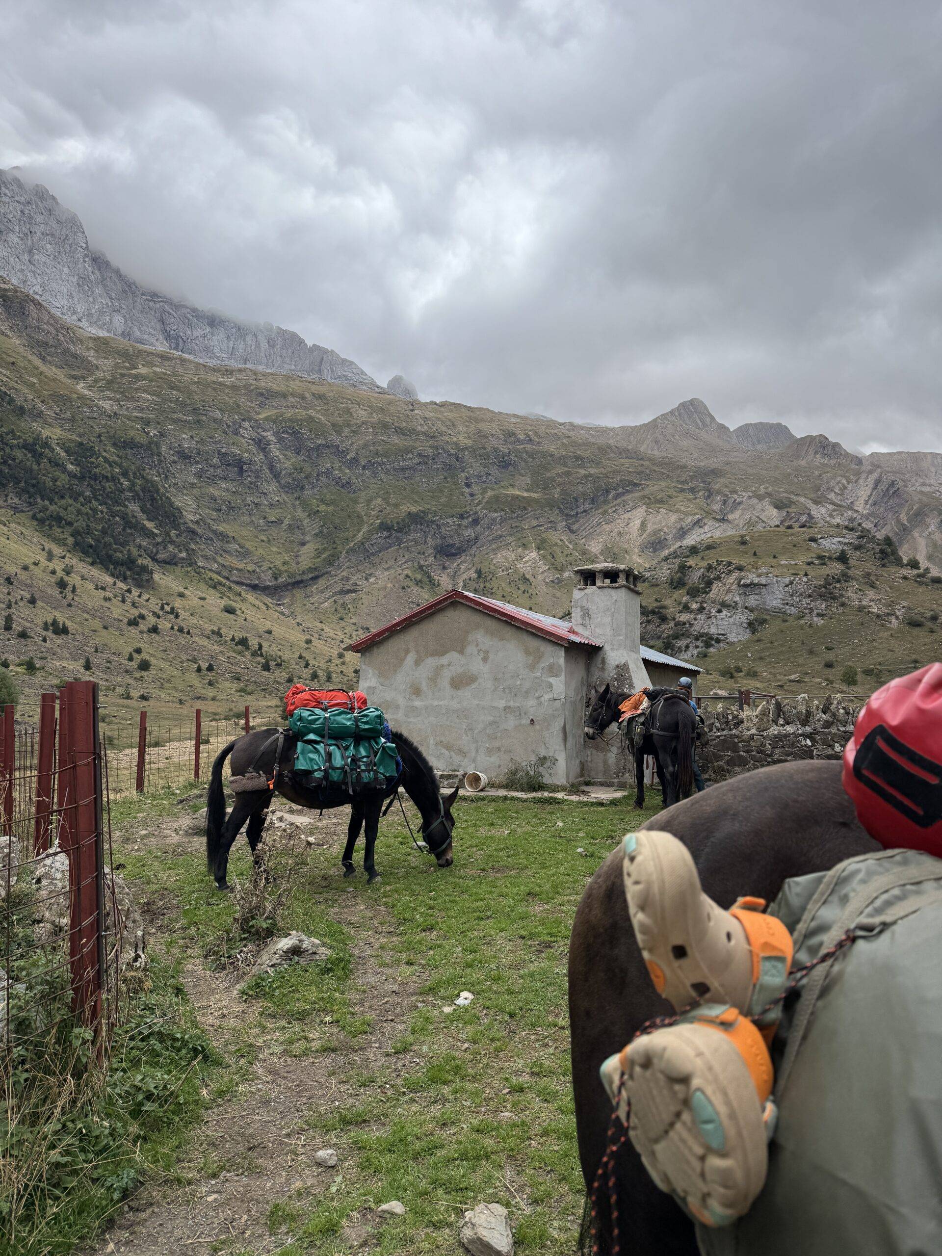 voyage à cheval sur la grande traversée des Pyrénées