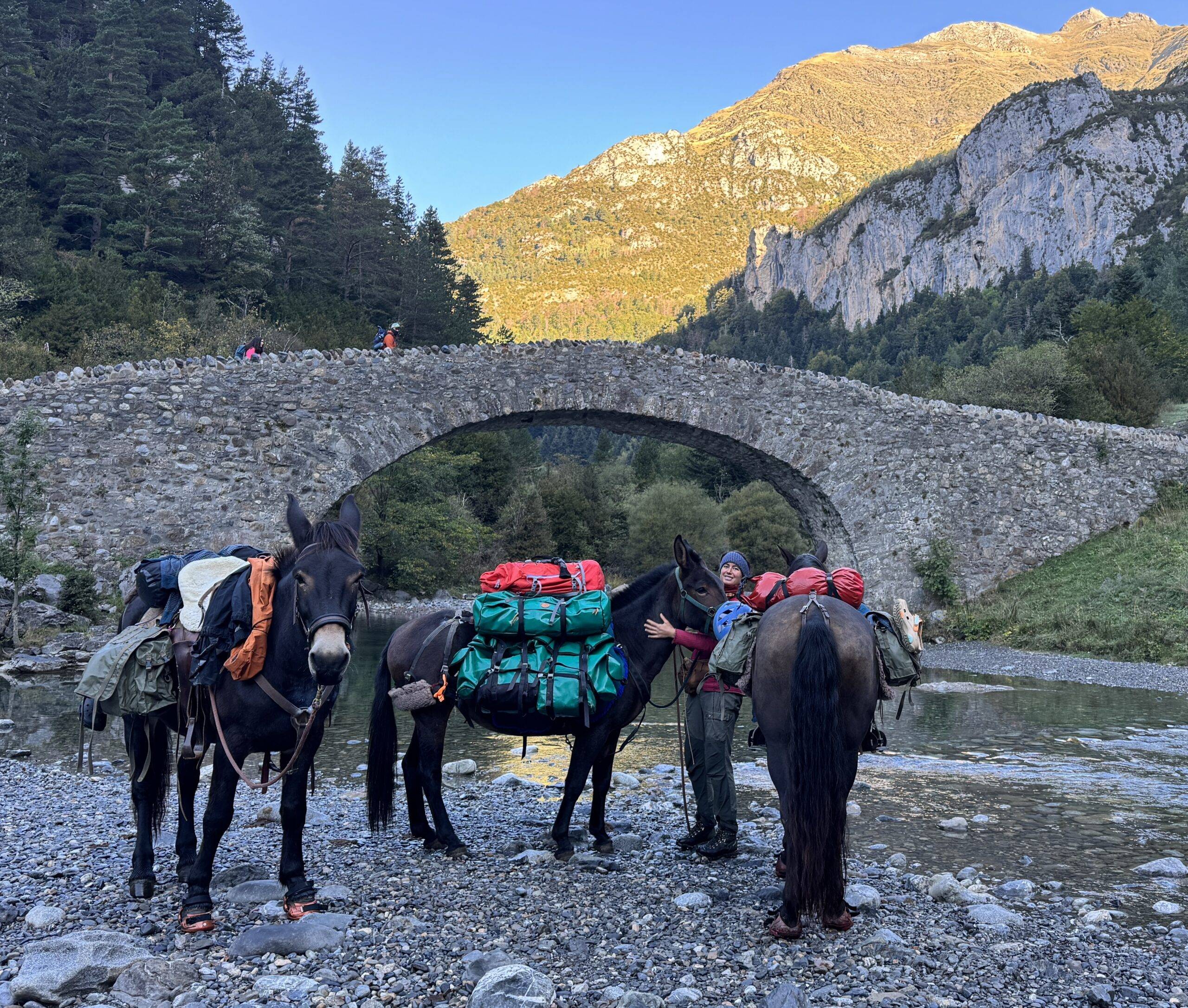 grands itinéraire équestre de haute montagne - gandalha voyages