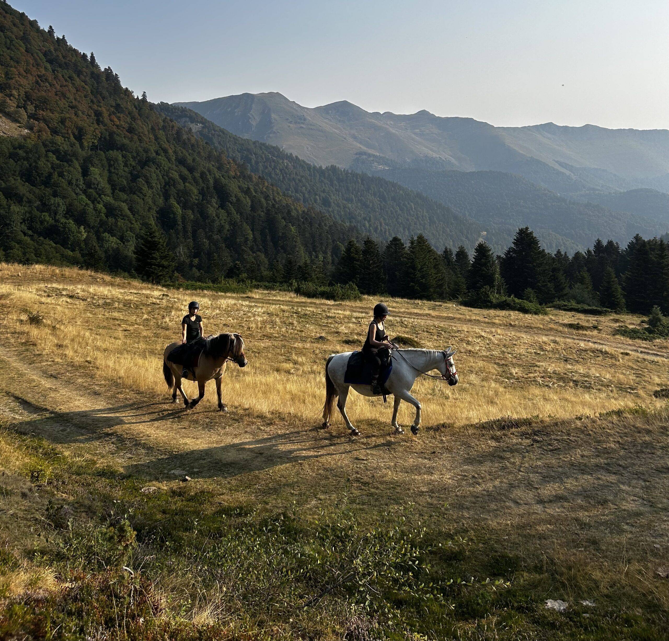Au delà des cimes 18/23 ans – Image 4