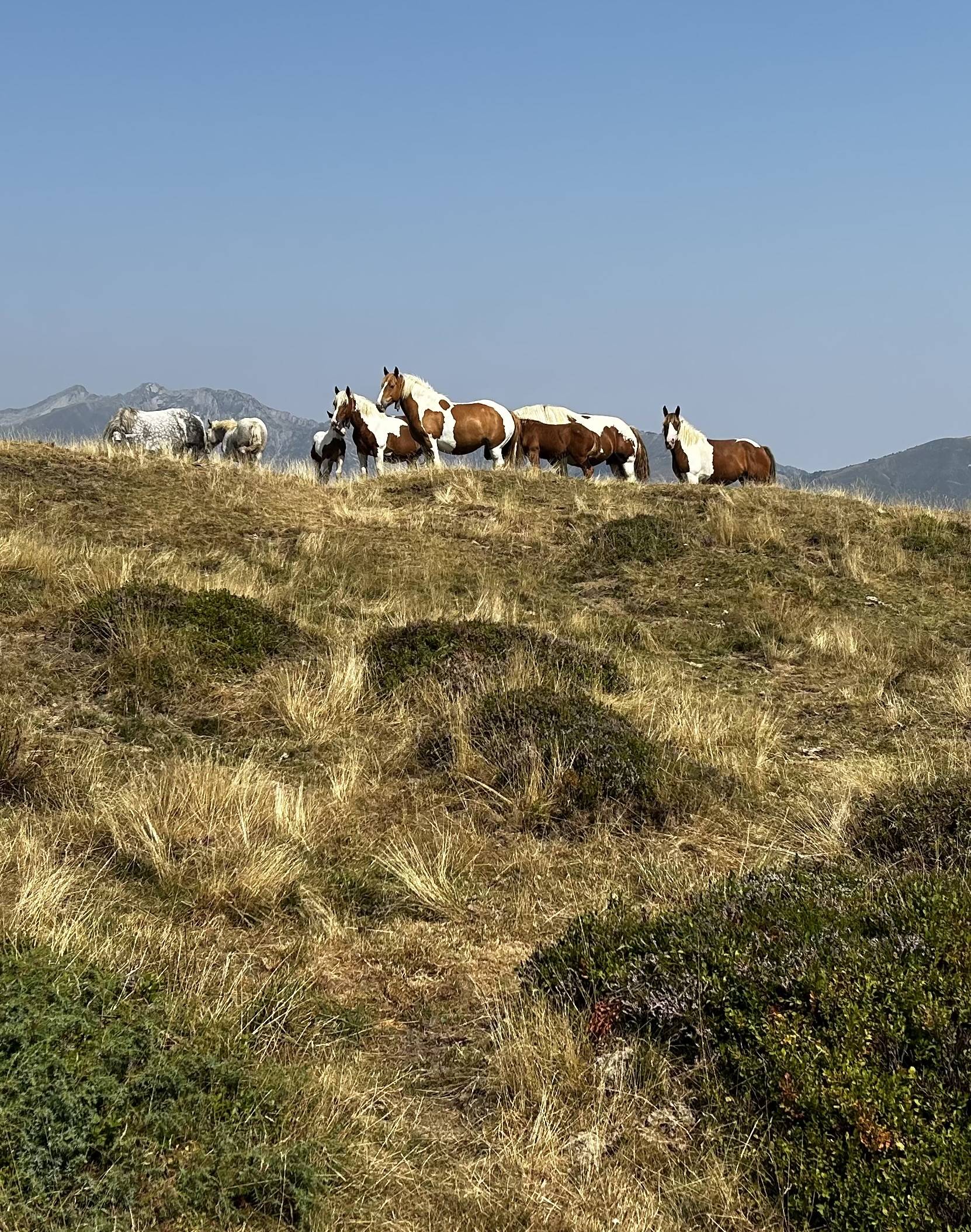 Au delà des cimes 18/23 ans – Image 3