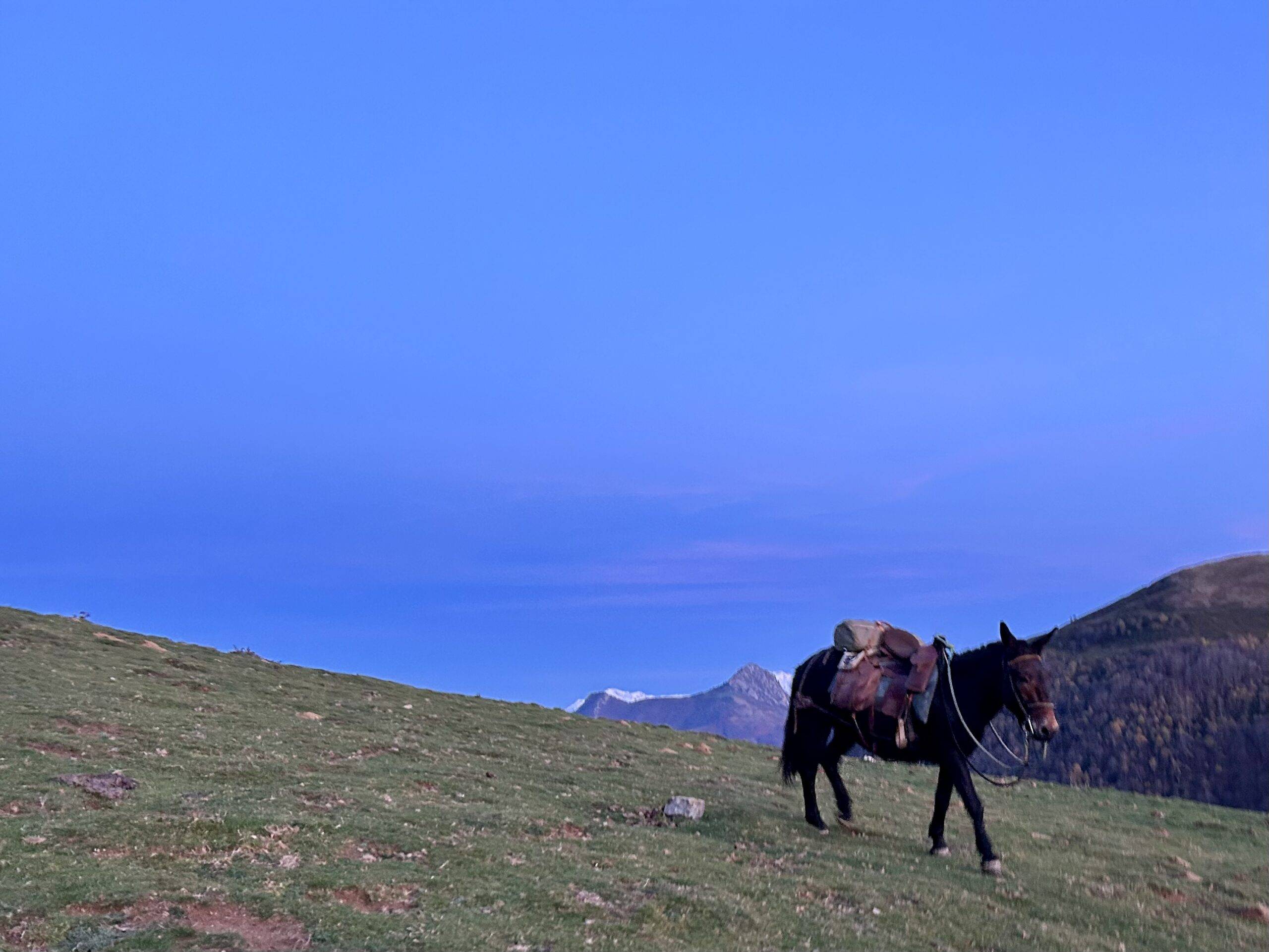 Au delà des cimes 18/23 ans – Image 7